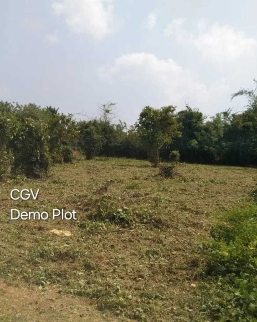 ₹ 7.71LPlot Number 156
📍Near Mountseena School, Pathiripala
5.15Cent plot
₹ 1.49L/Cent4032SqFt Buildable Area