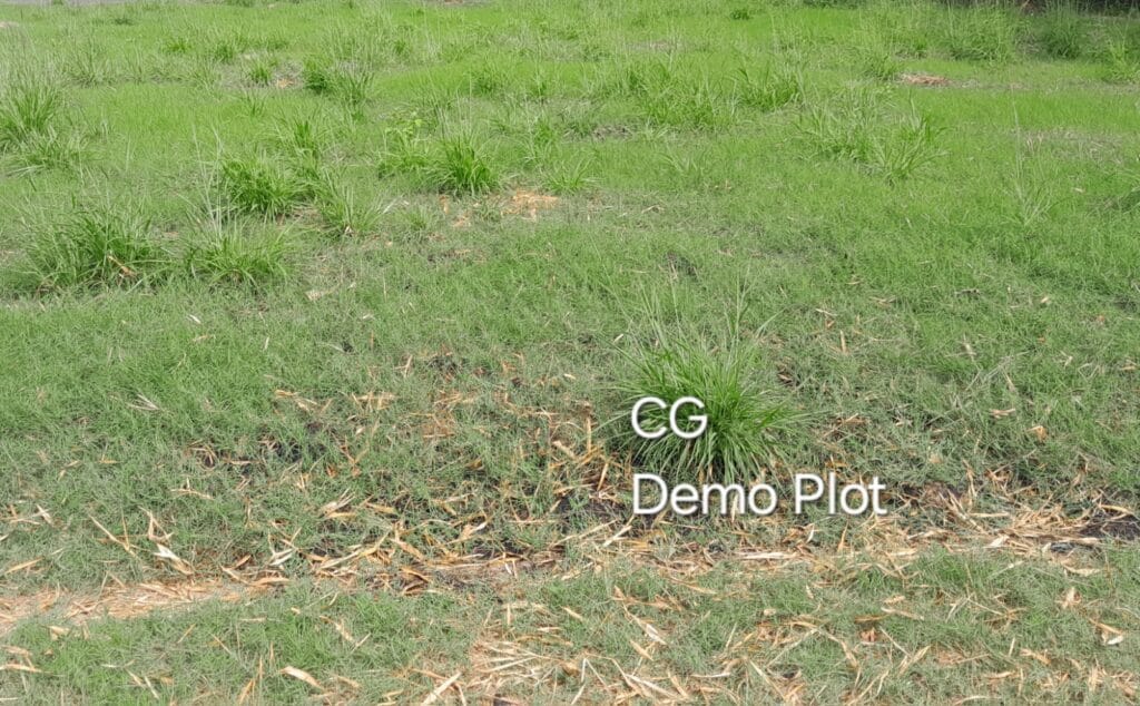 ₹ 12.77LPlot Number 52 B
📍Near Lulu Mall ,Palakkad
2.55Cent plot
₹ 5.05L/Cent1996SqFt Buildable Area