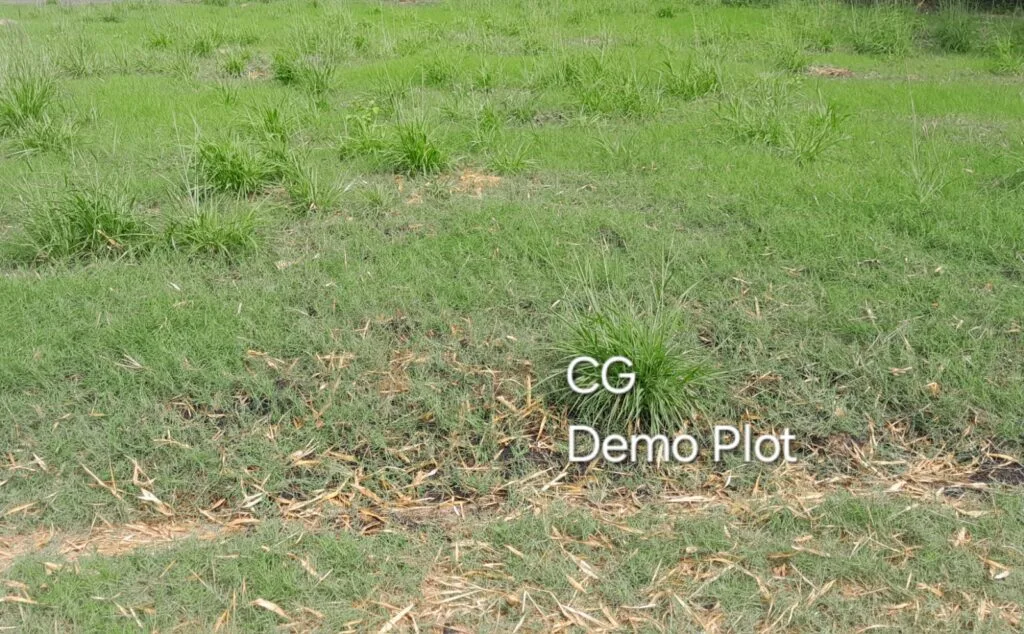 ₹ 12.77LPlot Number 52 B
📍Near Lulu Mall ,Palakkad
2.55Cent plot
₹ 5.05L/Cent1996SqFt Buildable Area