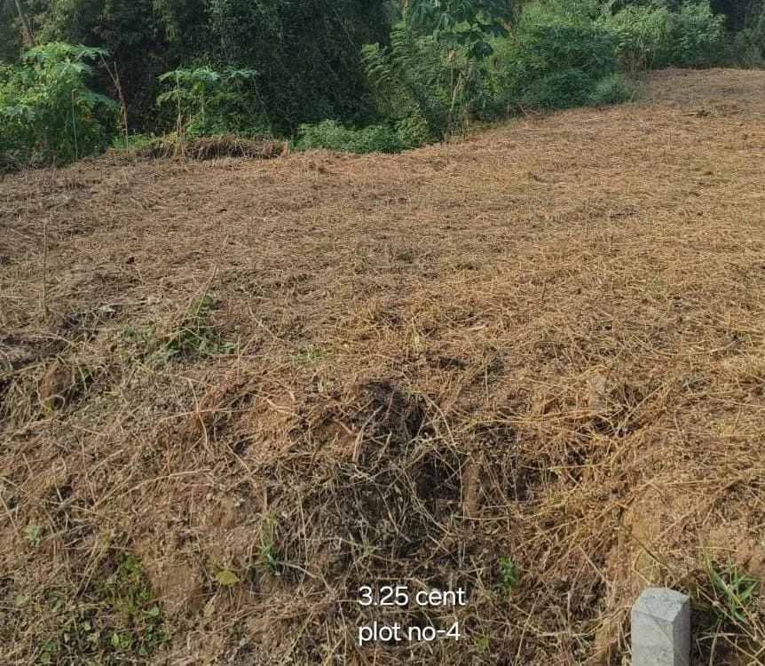₹ 11.37LPlot Number 4
📍Near Poly Technic College , Palakkad
3.25Cent plot
₹ 3.50L/Cent2544SqFt Buildable Area