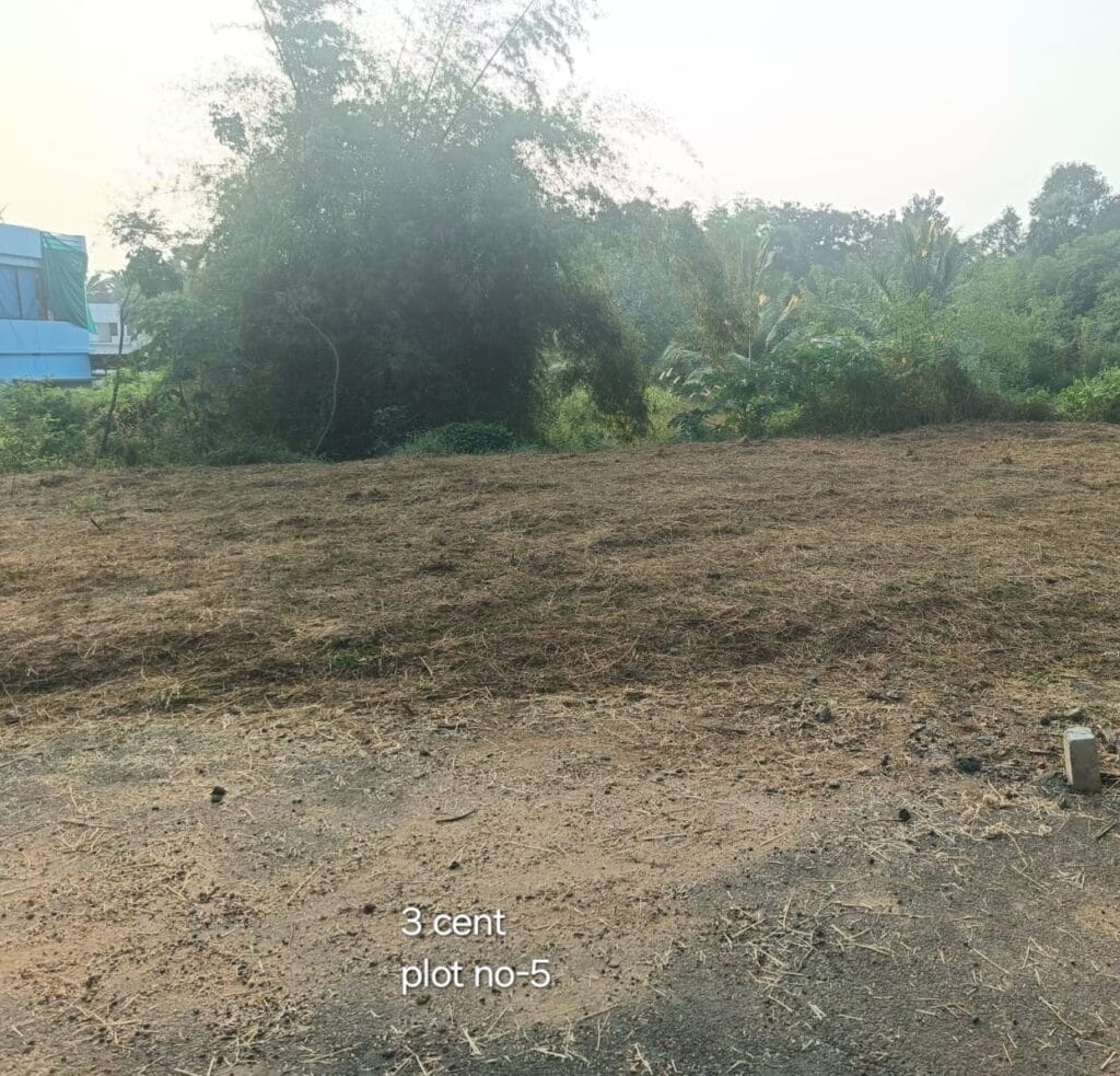 ₹ 10.50LPlot Number 5
📍Near Poly Technic College ,  Palakkad
3Cent plot
₹ 3.50L/Cent2349SqFt Buildable Area