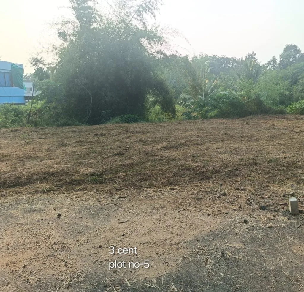 ₹ 10.50LPlot Number 5
📍Near Poly Technic College , Palakkad
3Cent plot
₹ 3.50L/Cent2349SqFt Buildable Area