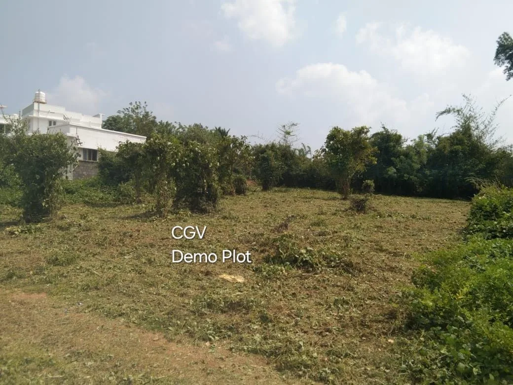 CGV Demo plot