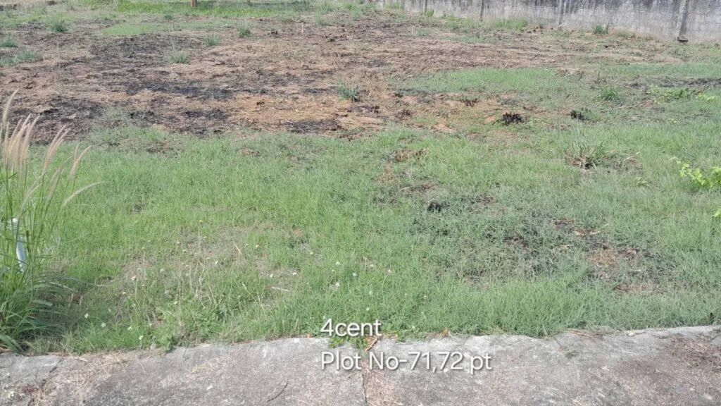 ₹ 9.21LPlot Number 71,72 pt
📍Near CFD School,Pudur , Palakkad
4Cent plot
₹ 2.30L/Cent3132SqFt Buildable Area