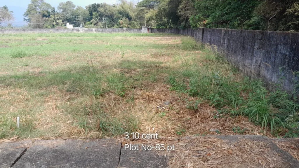 ₹ 7.14LPlot Number 85 pt
📍Near CFD School,Pudur , Palakkad
3.1Cent plot
₹ 2.30L/Cent2427SqFt Buildable Area