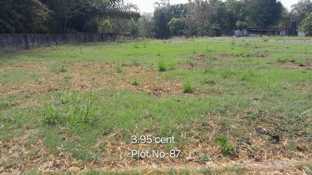 ₹ 9.09LPlot Number 87
📍Near CFD School,Pudur , Palakkad
3.95Cent plot
₹ 2.30L/Cent3092SqFt Buildable Area