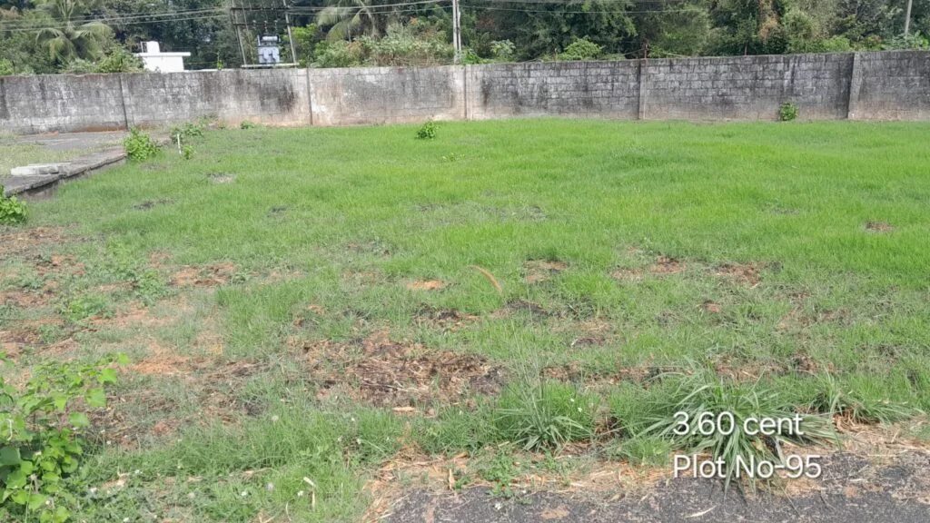 ₹ 8.29LPlot Number 95
📍Near CFD School,Pudur , Palakkad
3.6Cent plot
₹ 2.30L/Cent2818SqFt Buildable Area