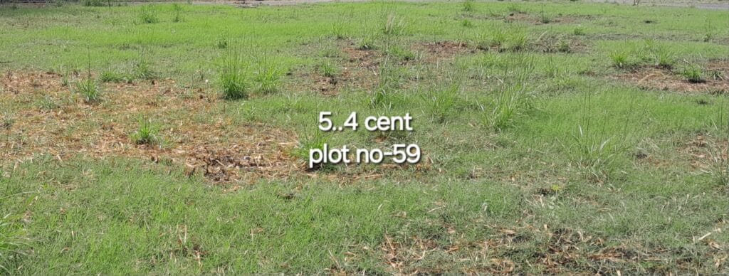 ₹ 12.43LPlot Number 59
📍Near CFD School,Pudur , Palakkad
5.4Cent plot
₹ 2.30L/Cent4228SqFt Buildable Area