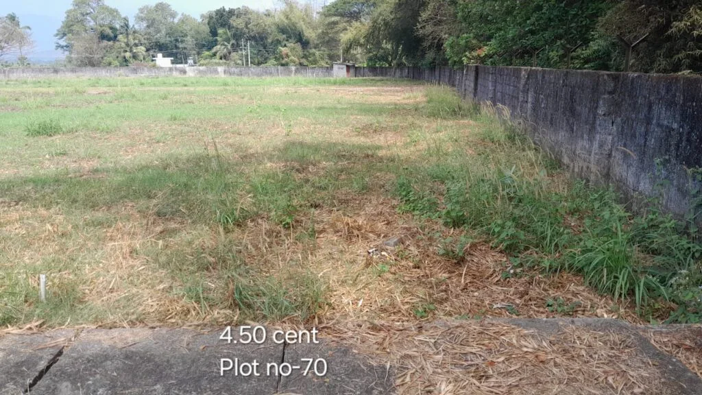 ₹ 10.36LPlot Number 70
📍Near CFD School,Pudur , Palakkad
4.5Cent plot
₹ 2.30L/Cent3523SqFt Buildable Area